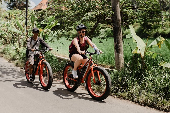 Private Fat Tire E-Bike Tour in Ubud - Timing, fitness, and who should book