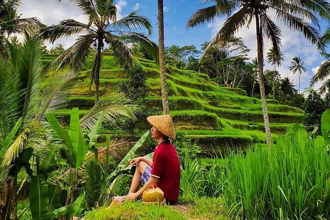 Private Full - Day Nusa Penida Island Tour - Kelingking Beach and the island’s famous profile