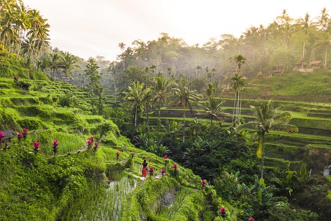 Private Full-Day Tour: Balinese Temples and Rice Terraces - Transport, pickup, and the pace of the day