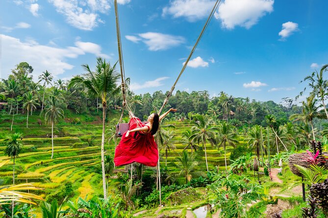 Private Full Day Tour in Ubud - Key points to know before booking