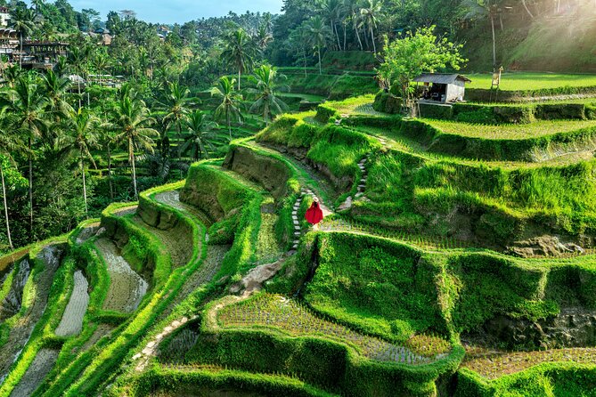 Private Full Day Tour in Ubud - One day, many sides of Ubud