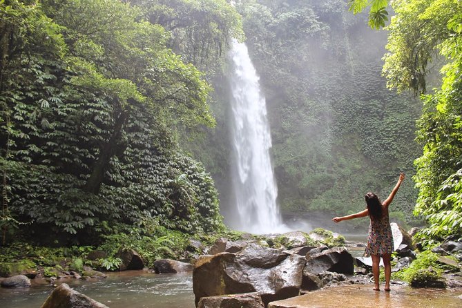 Private Full-Day West Bali Tour with Waterfall Visit - Who should book this mountain day?