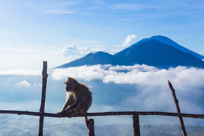 Private Mount Batur Sunrise Trekking Tour - Who should choose this Mount Batur tour?