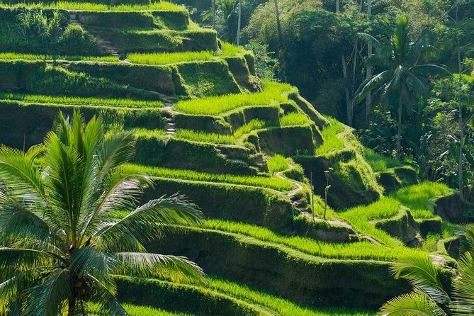 Private Shore Excursion: Customized Best of Bali Tour - Choosing a route that will not waste your day