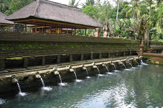 Private Shore Excursion: Highlights of Bali - Penglipuran Village and Balinese customs
