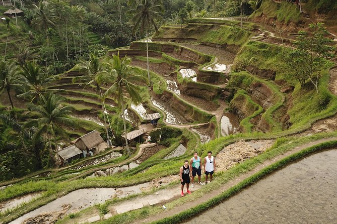 Private Tour: Bali Volcano with Jungle Swing Experience - Why the private minivan changes the day