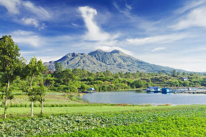 Private Tour: Bali Volcano with Jungle Swing Experience - Tegalalang Rice Terrace, a quick look at working farmland