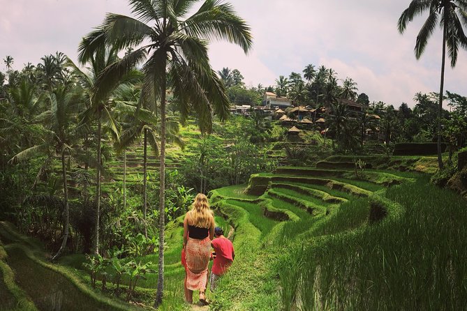 Private Tour: Balinese Culture and Scenery (visit ubud area) - Mount Batur: a volcano viewpoint, not a mountain trek