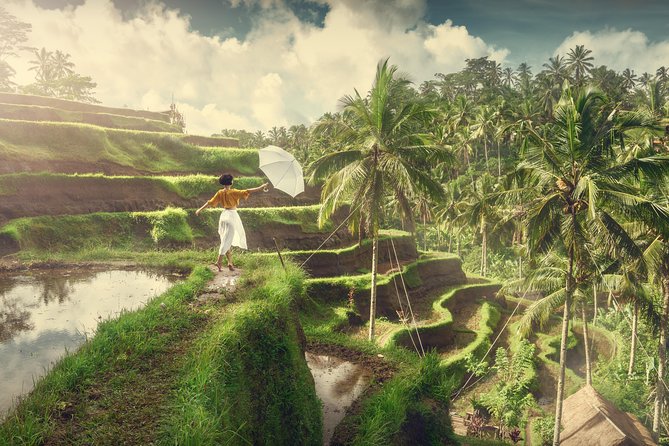 Private Tour: Best of Bali - All Inclusive Tickets - What this private Bali day tour really delivers