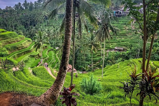 Private Tour: Best of Bali - All Inclusive Tickets - Tegenungan Waterfall requires a real descent