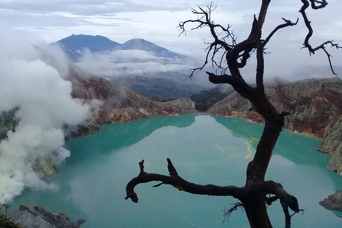 Private Tour : Bromo Ijen Tour From Bali - Key points before you book