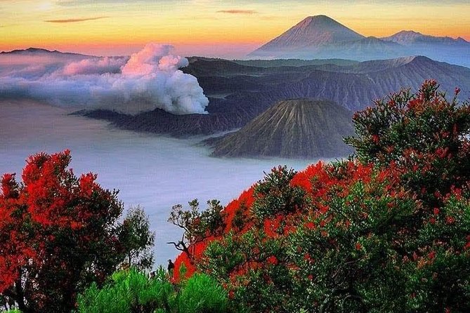 Private Tour : Bromo Ijen Tour From Bali - Ijen Crater and the 2 a.m. blue-fire hike