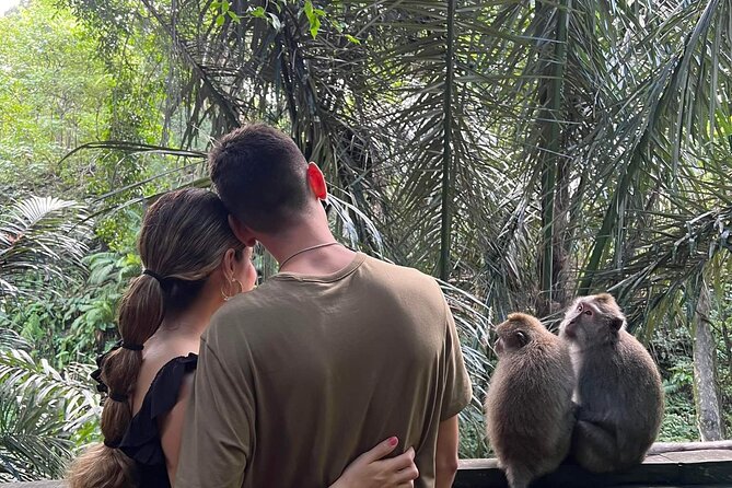 Private tour, discover the beauty of bali - Monkey Forest: an easy start in Ubud
