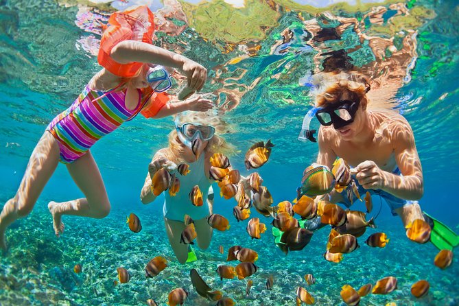 Private Tour: Heaven Gate Temple, Tirta Gangga and Blue Lagoon Snorkeling - Practical tips before the 8:00 am start