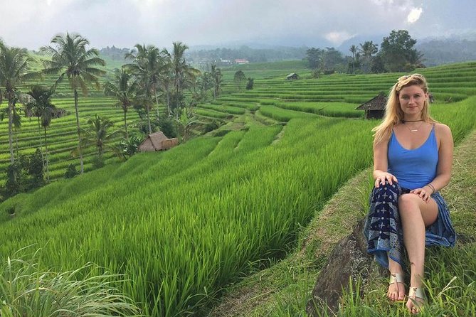 Private Tour Highlight of Bedugul and Jatiluwih Rice Terrace - The private car is part of the value