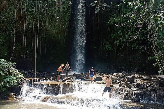 Private Tour to Sumampan Waterfall, Monkey forest, Rice terraces and Swing - D’Alas Swing is built for the photo album