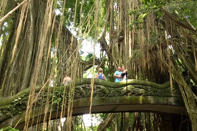 Private Tour to Sumampan Waterfall, Monkey forest, Rice terraces and Swing - Batuan Temple brings a cultural pause
