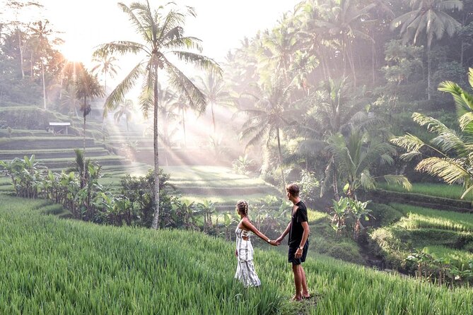 Private Tour To Tibumana Waterfall, rice terraces & Jungle Swing - A full day of Bali highlights in one private car
