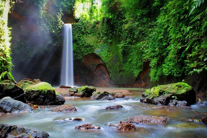 Private Tour To Tibumana Waterfall, rice terraces & Jungle Swing - Puseh Batuan Temple and Bali’s carved details