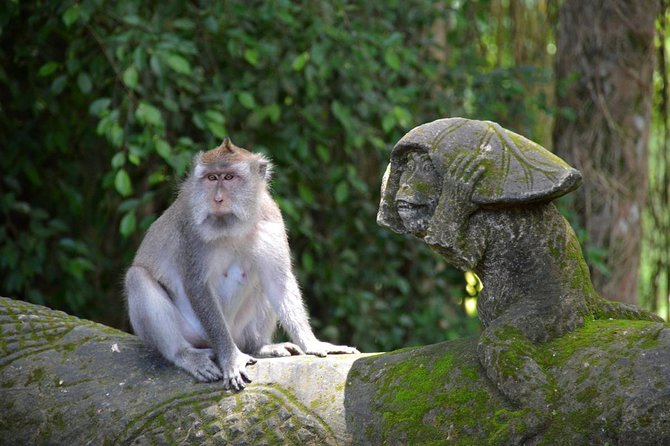 Private Tour: Ubud Day Tour with Traditional Offering Lesson - Lunch beside Ubud’s rice fields