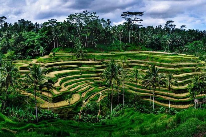 Private Ubud and Volcano Day Trip - Starting at Tegenungan Waterfall
