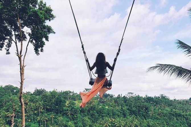 Private Ubud and Volcano Day Trip - A private vehicle makes the long route easier