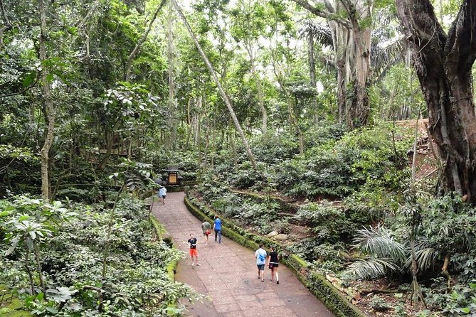 Private Ubud Day Tour - Four classic Ubud stops in one private day