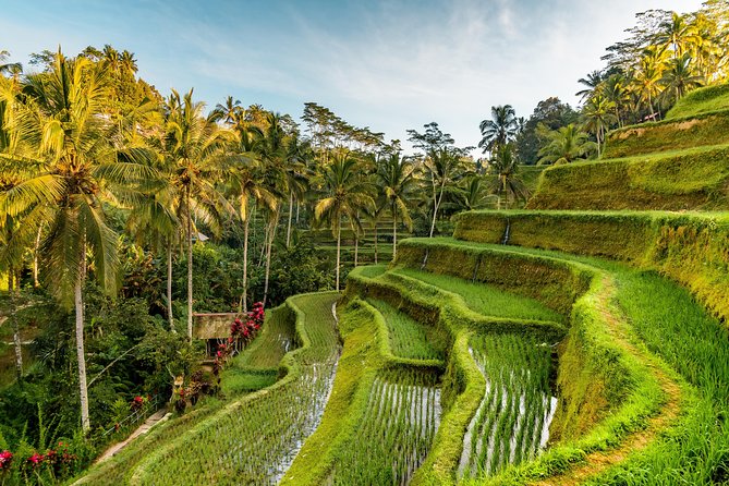 Private Ubud Day Tour - Tegenungan Waterfall, one hour with an optional swim