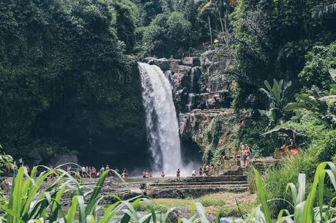 Private Ubud Day Tour - Is $55 a fair price for this day?