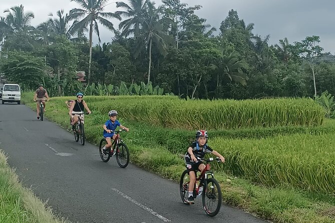 Private Ubud Downhill Cycling with Volcano, Rice Paddies & Meal - Two hours through Manukaya’s village roads