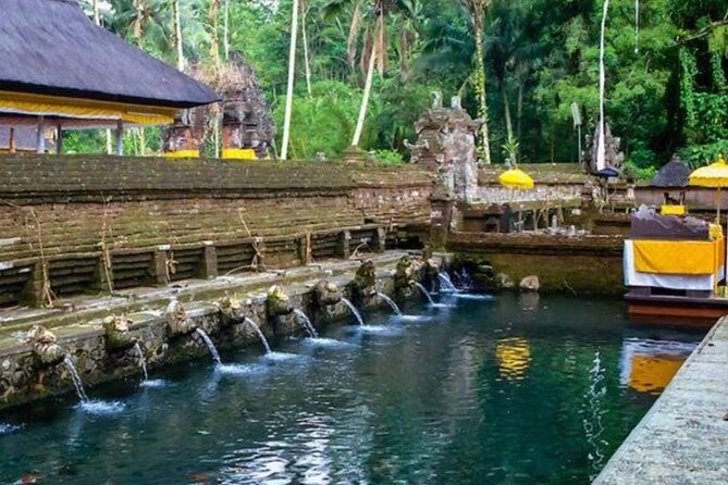 Private Ubud Tour - A Private Car Makes the Long Day Easier