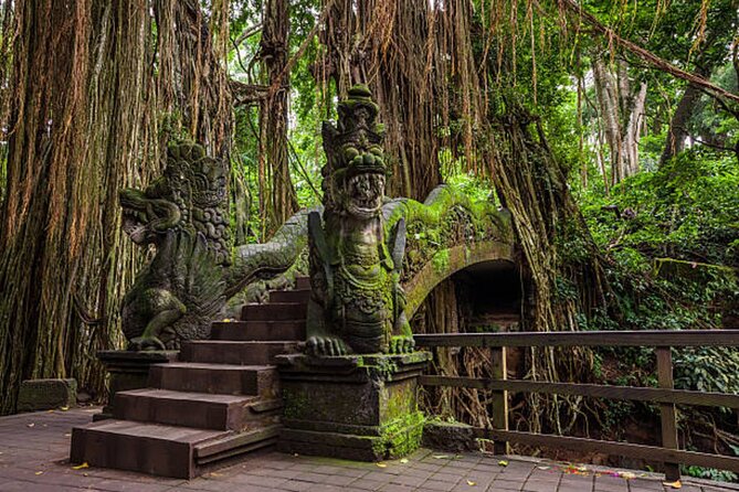Private Ubud Tour: Monkey Forest, Waterfall & Rice Terrace - Central Ubud additions need careful planning