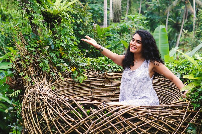 Private Ubud Tour: Waterfall, Rice Terrace & Monkey Forest - Tegalalang Rice Terrace and the photo stops