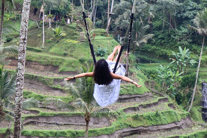 Private Ubud Tour: Waterfall, Rice Terrace & Monkey Forest - Sacred Monkey Forest Sanctuary as the finale