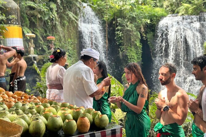 Purification Ceremony, Kehen Temple and Goa Raja Waterfall Tour - Is $55 a fair price?