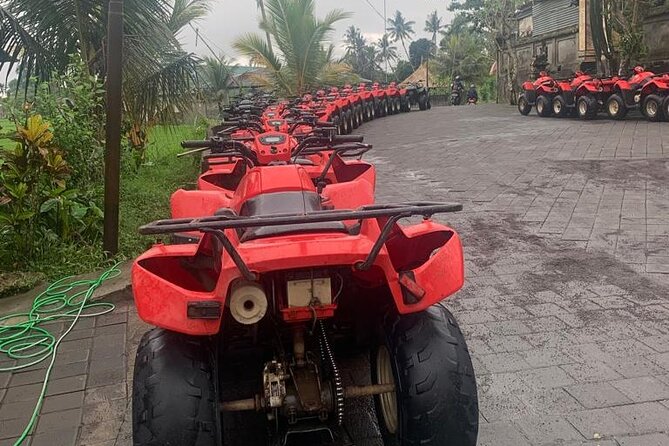Quadbike Adventure with Tunnel and Waterfall Tour in Bali - Who will enjoy this ATV tour most?