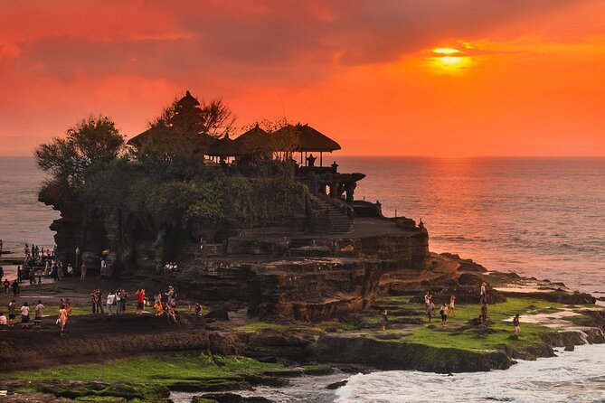 Royal Family Temple, Monkey Forest, and Tanah Lot Sunset Tour - Alas Kedaton, macaques, and fruit bats