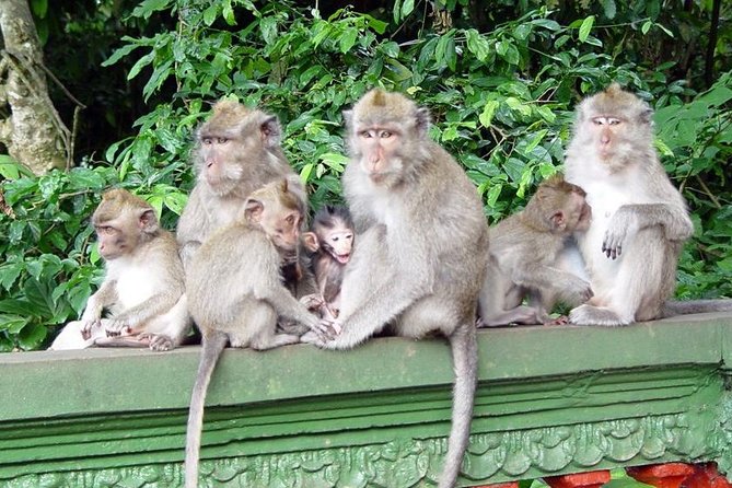 Royal Family Temple, Monkey Forest, and Tanah Lot Sunset Tour - What the private format really adds