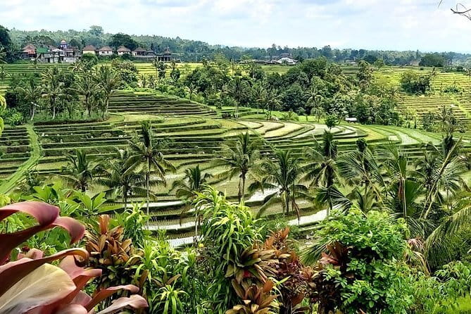 Shore Excursion Cruise Ship from Benoa and Celukan Bawang Port - Comfort, walking, and road conditions