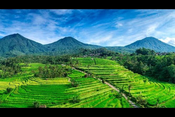 Sidemen Highlights Day Tour - A 45-minute walk through Sidemen rice fields