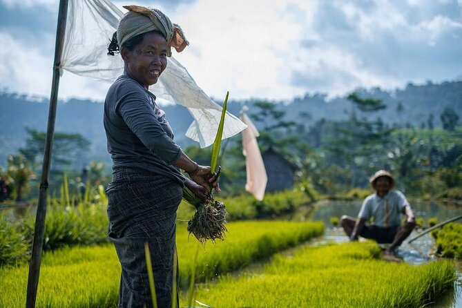 Sidemen Trekking: A Walk from a Different Perspective - Starting at Pasar Sidemen before the fields