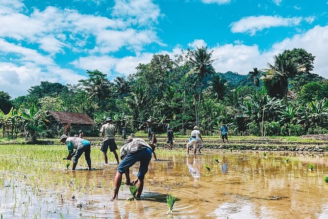 Sidemen Trekking: A Walk from a Different Perspective - Irrigation paths, a wooden bridge, and Mount Agung