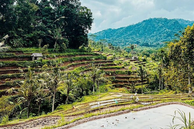 Sidemen Trekking: A Walk from a Different Perspective - Walking from village lanes to rice terraces