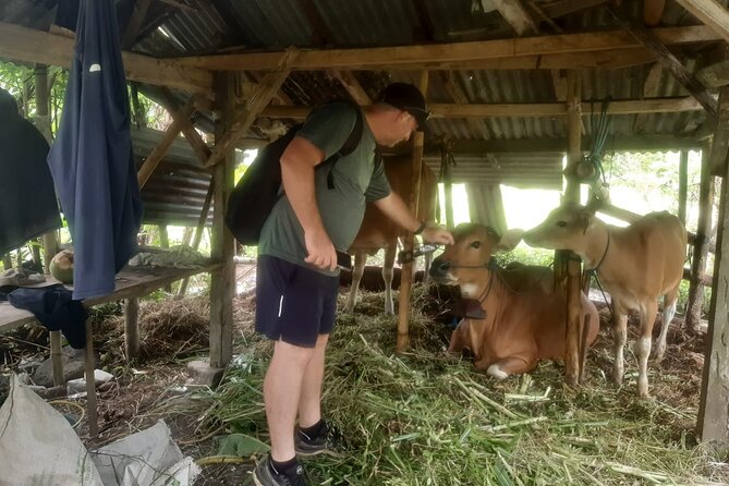 Sidemen Trekking Through Rice Terraces and Villages - What to Bring and How to Prepare