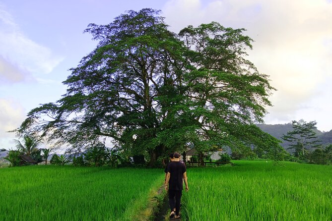Sidemen Trekking with Cultural Encounters and Nature Views - What makes this Sidemen walk worth your time