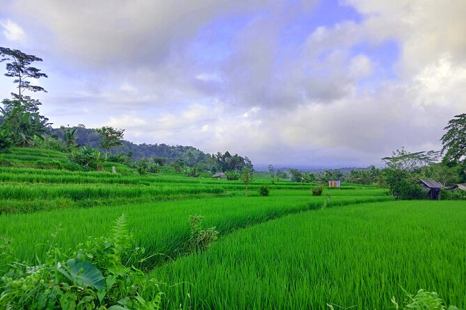 Sidemen Trekking with Cultural Encounters and Nature Views - A personal guide can change the experience