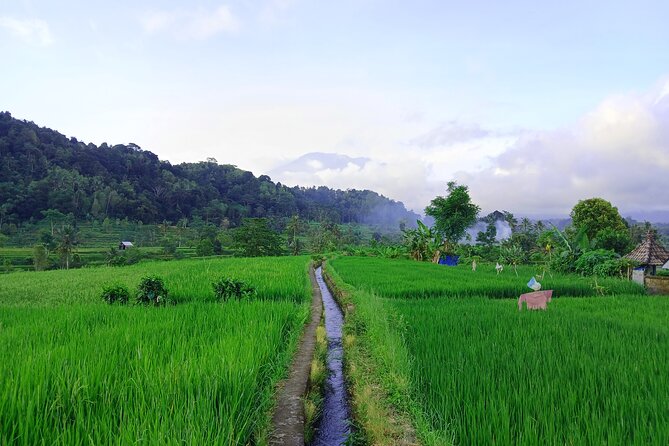 Sidemen Trekking with Cultural Encounters and Nature Views - What the $12.84 price really covers