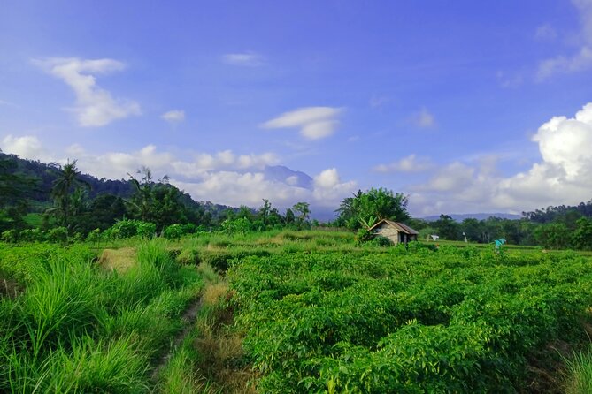 Sidemen Trekking with Cultural Encounters and Nature Views - Who will enjoy this walk most