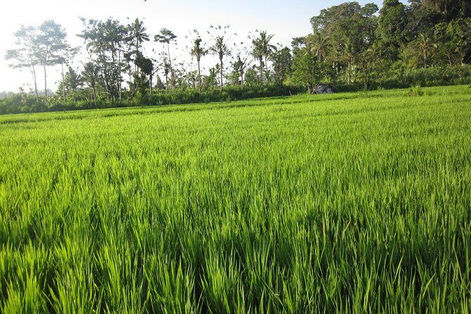 Sidemen Trekking with Cultural Encounters and Nature Views - Pura Dalem Desa Adat Dukuh Sakti and the village setting