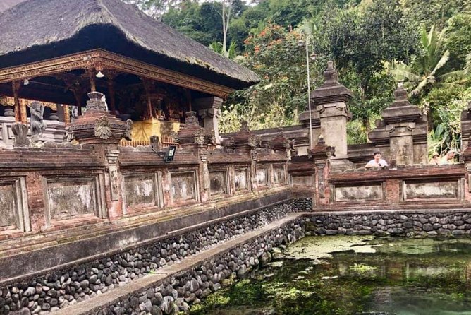 Skip the Line Tirta Empul Temple Entrance Ticket All Inclusive - What the guide adds to the visit